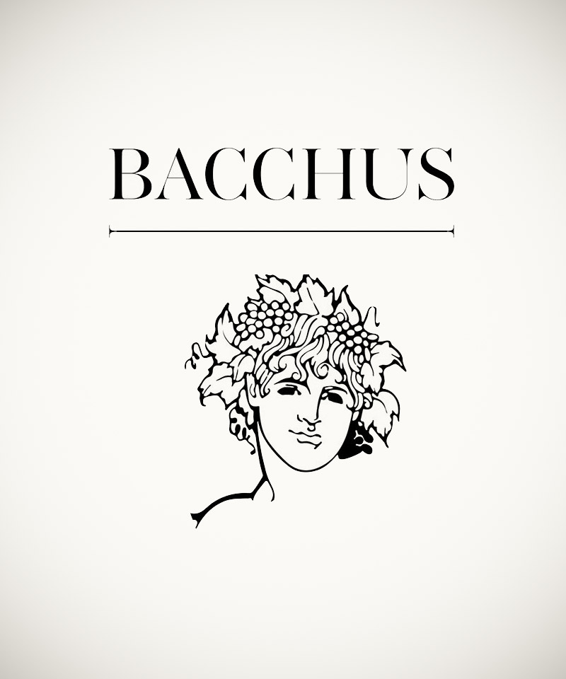 Restaurant Bacchus - Huisstijl & webdesign